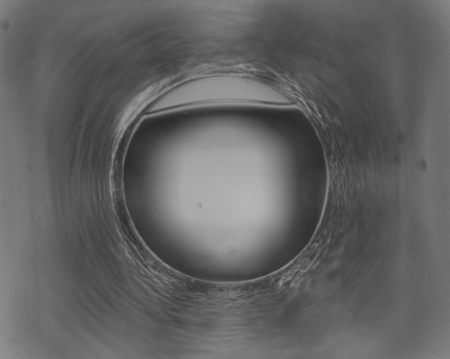 X0000073540340200607310956