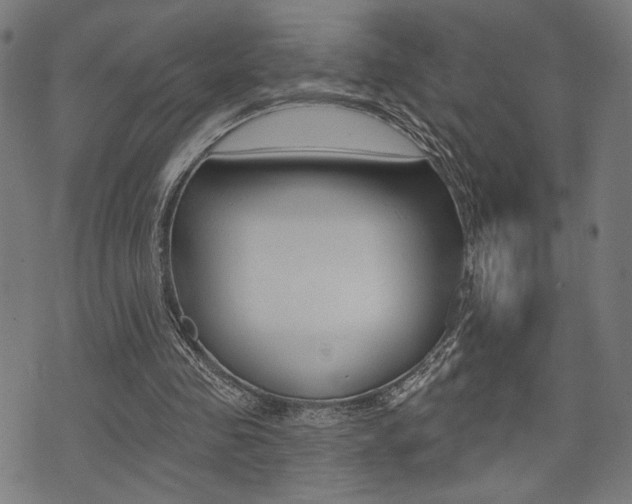 X0000073540341200607310956