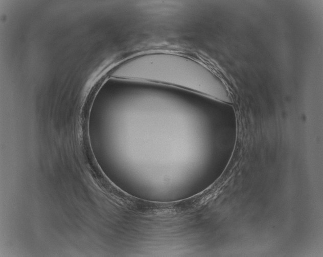 X0000073540344200607310956