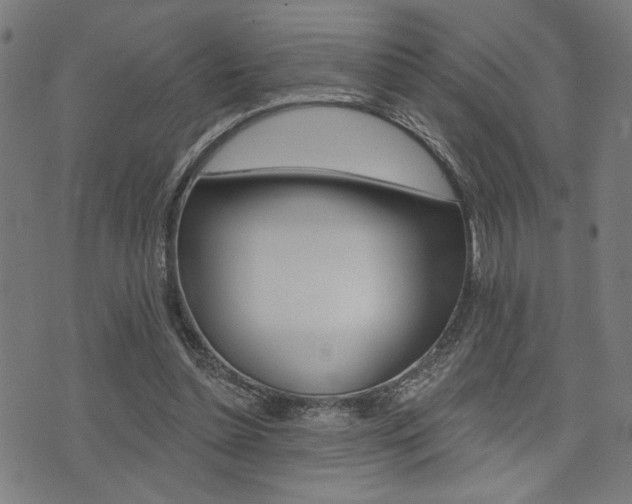 X0000073540348200607310956