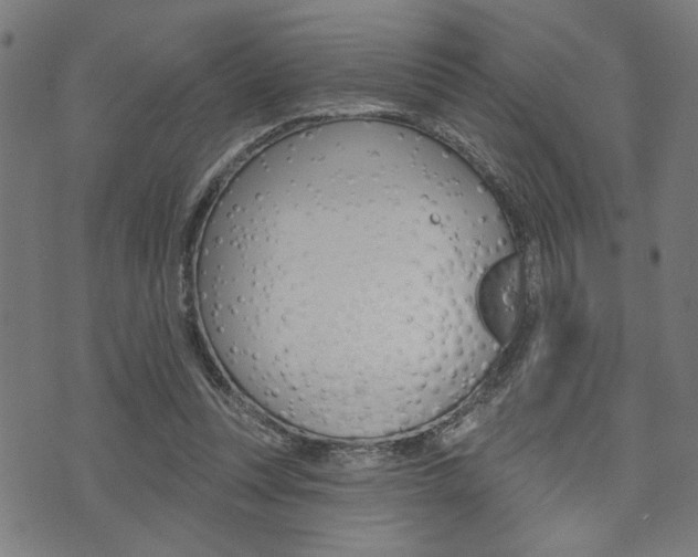 X0000073540351200607310956