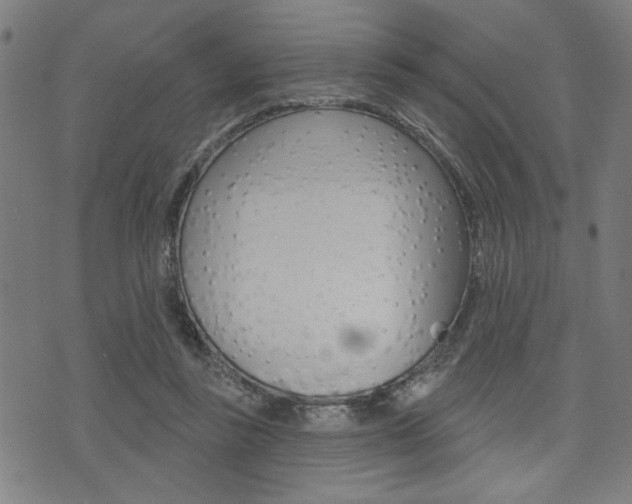 X0000073540355200607310957