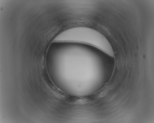 X0000073540364200607310957