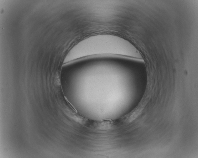 X0000073540384200607310957