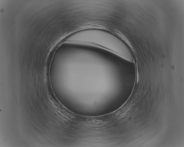 X0000073540387200607310956