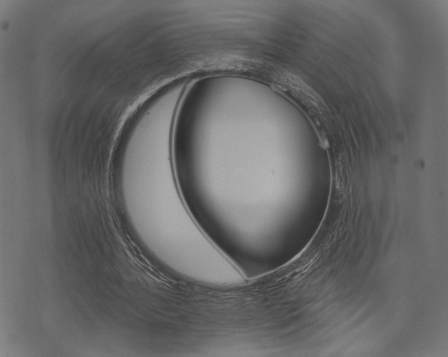 X0000073540388200607310956