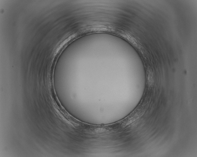 X0000073540390200607310956