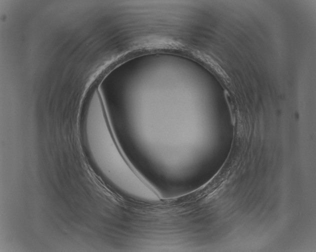 X0000073540391200607310956