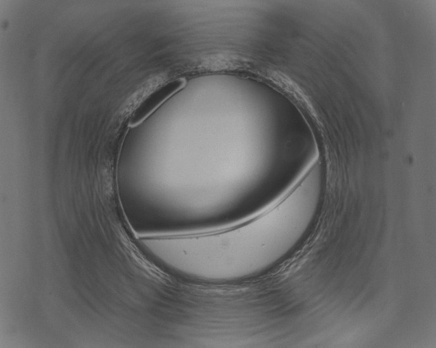 X0000073540393200607310956