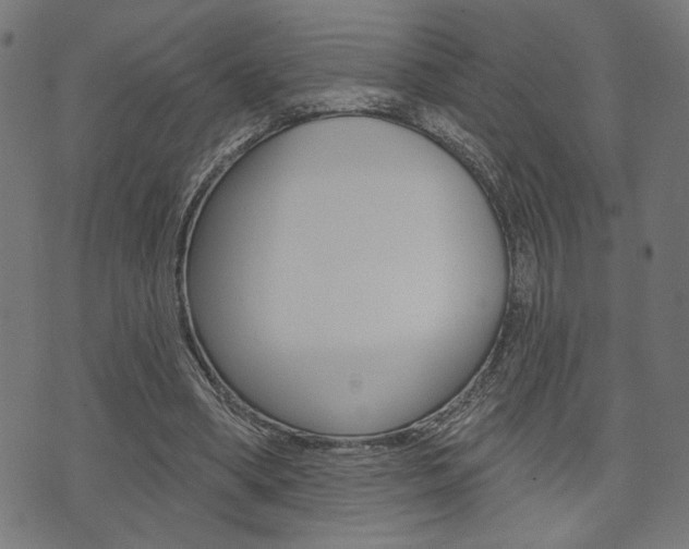 X0000073540394200607310956