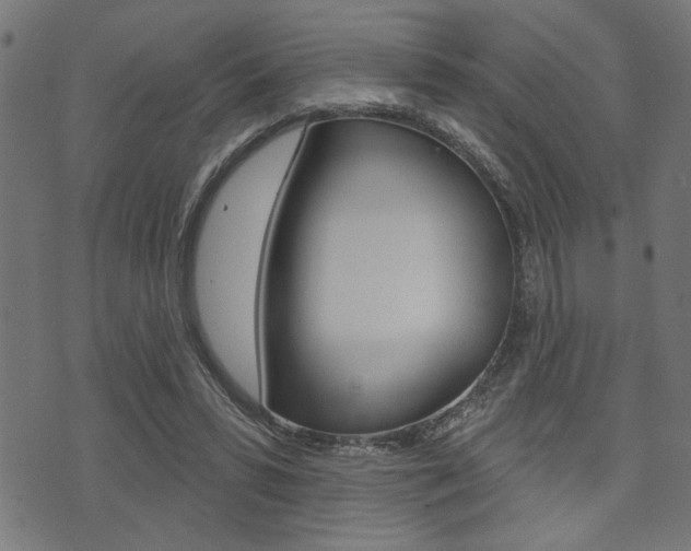 X0000073540399200607310956