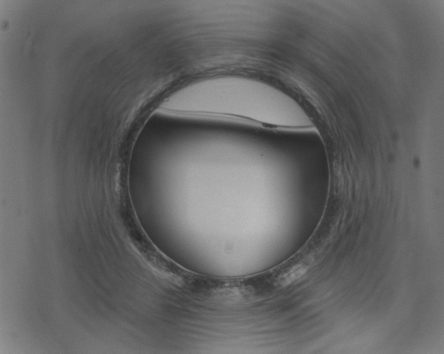 X0000073540404200607310956