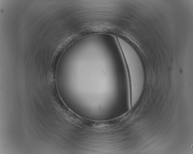 X0000073540407200607310956