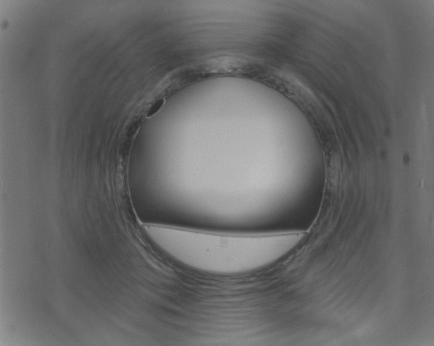 X0000073540413200607310956