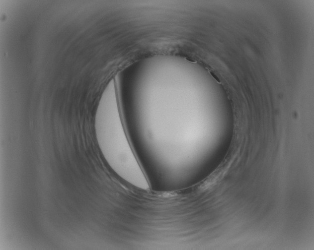 X0000073540432200607310955