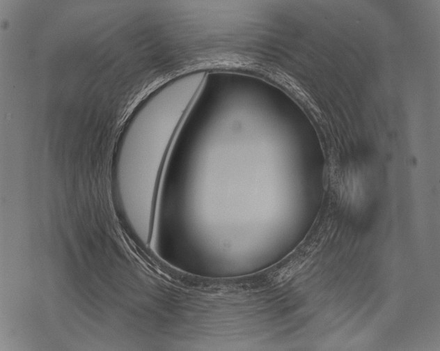 X0000073540434200607310955