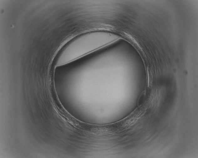 X0000073540435200607310955