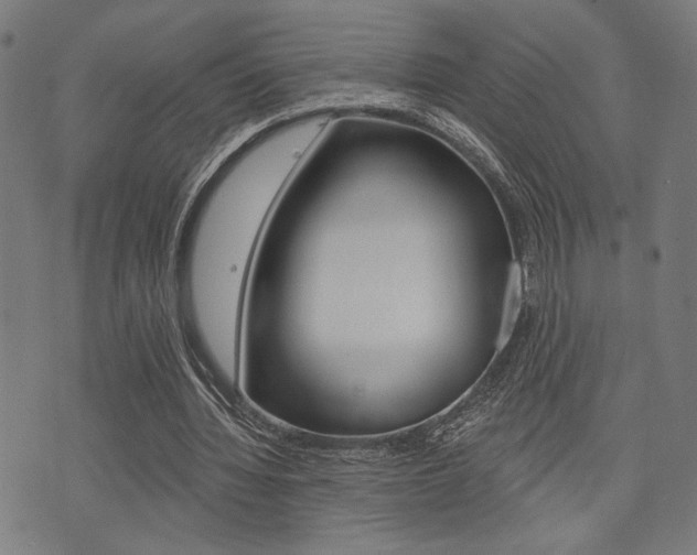 X0000073540436200607310955