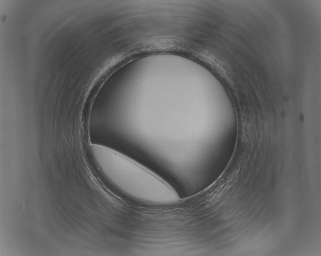 X0000073540439200607310955