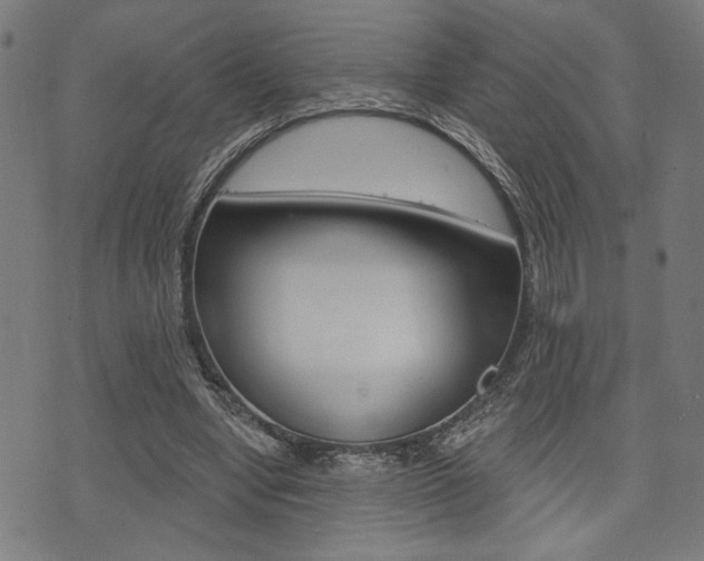 X0000073540442200607310955