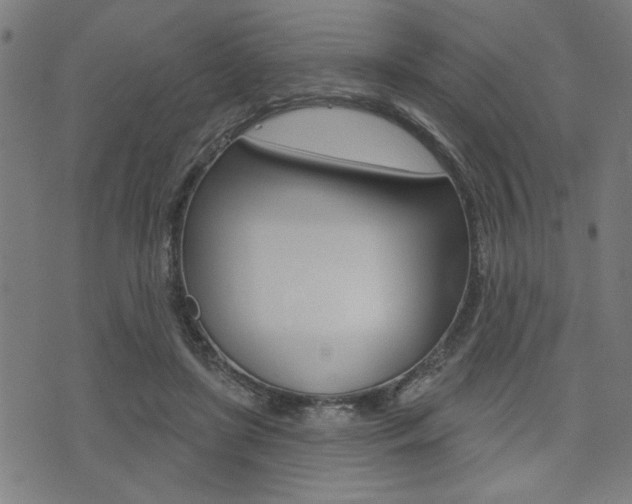 X0000073540451200607310955