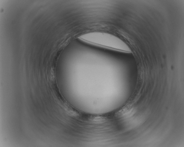 X0000073540467200607310955