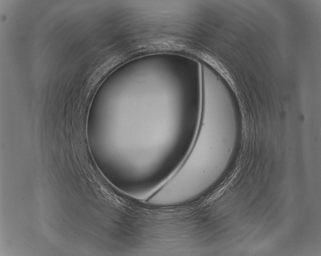 X0000073540481200607310955