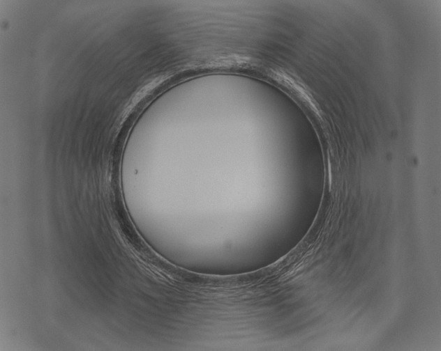 X0000073540483200607310955