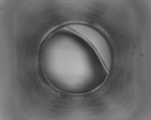 X0000073540484200607310955