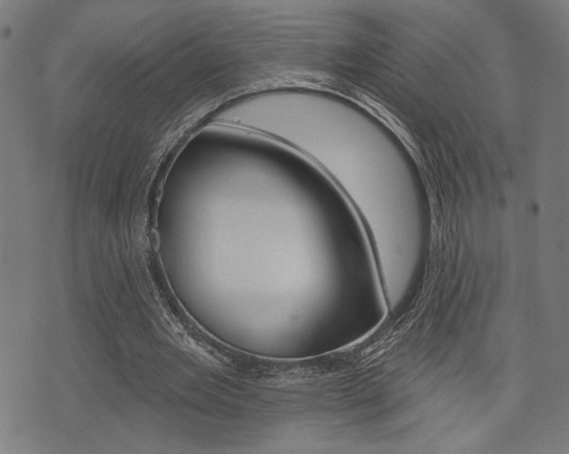 X0000073540485200607310955