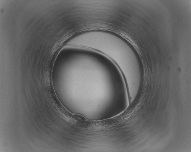 X0000073540489200607310955