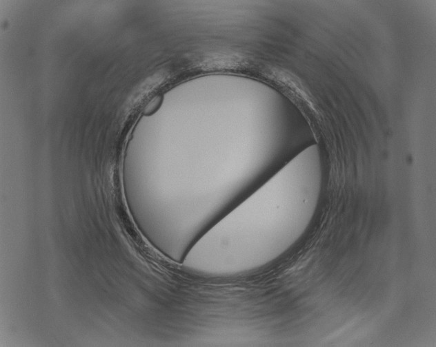 X0000073540491200607310954