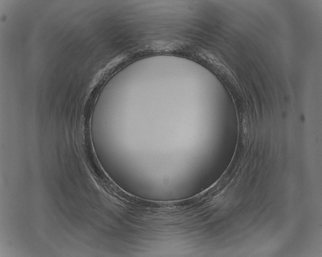 X0000073540492200607310954
