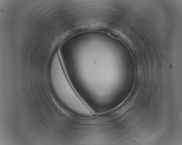 X0000073540493200607310954