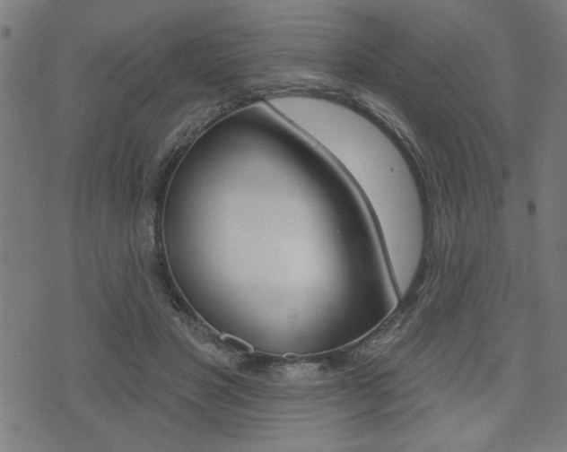 X0000073540501200607310954