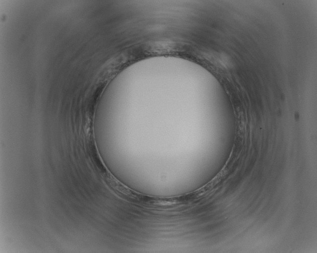 X0000073540507200607310954