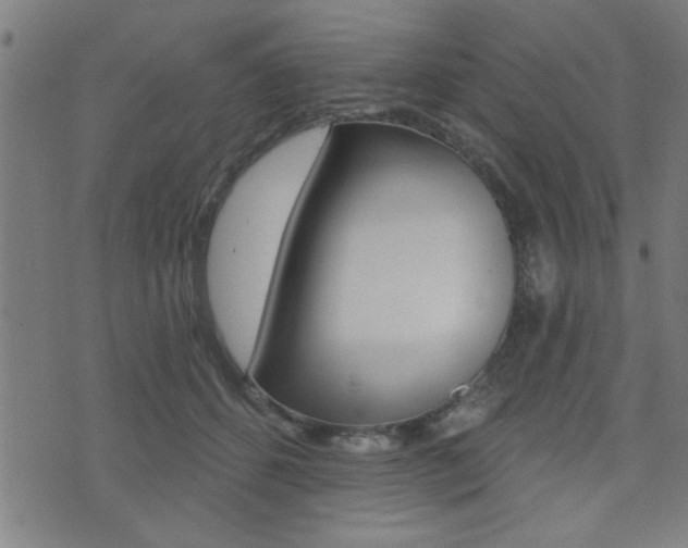 X0000073540512200607310954