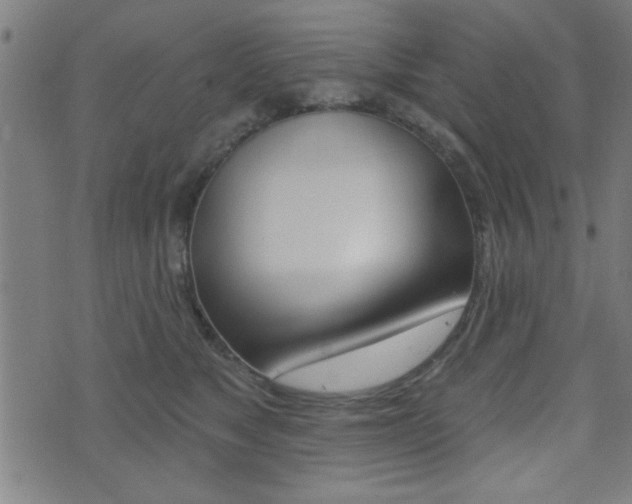 X0000073540517200607310954