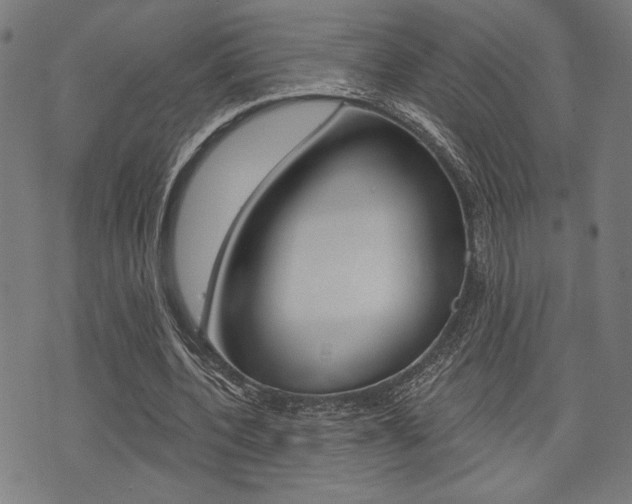 X0000073540532200607310953