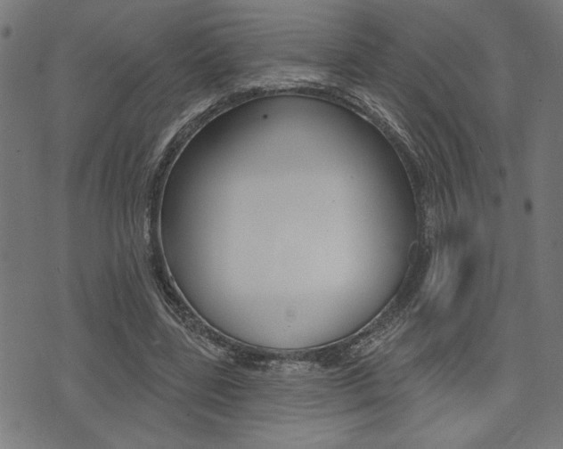 X0000073540539200607310953