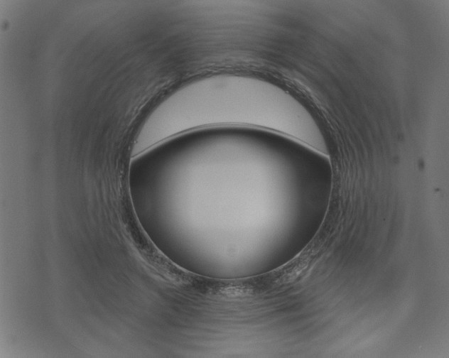 X0000073540546200607310953