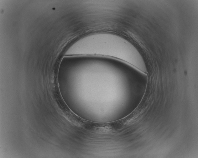 X0000073540548200607310953