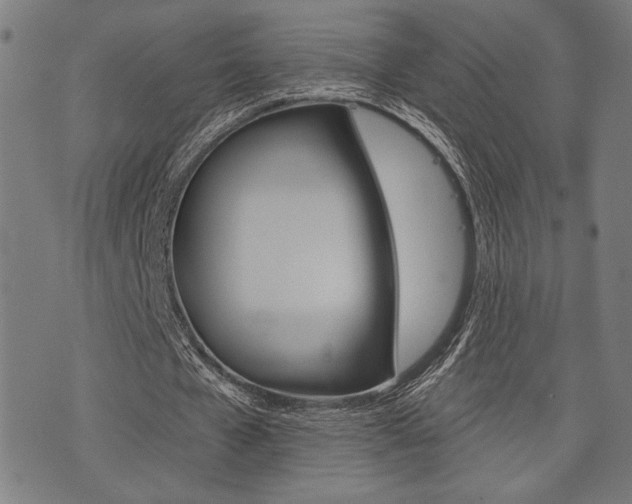 X0000073540577200607310953