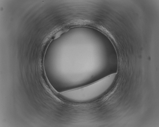 X0000073540581200607310953