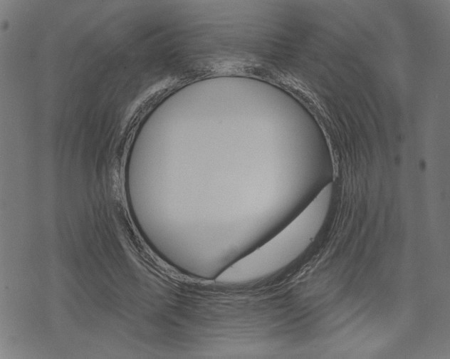 X0000073540587200607310953