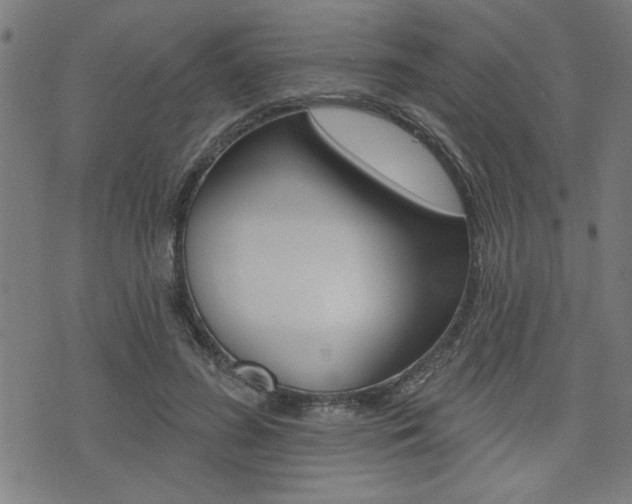 X0000073540596200607310953