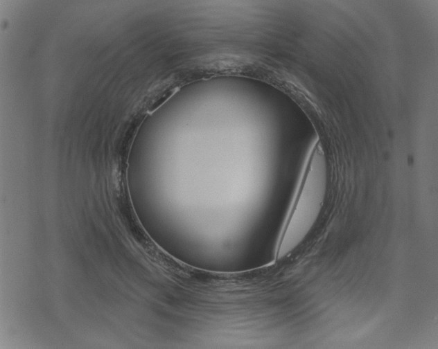 X0000073540597200607310953
