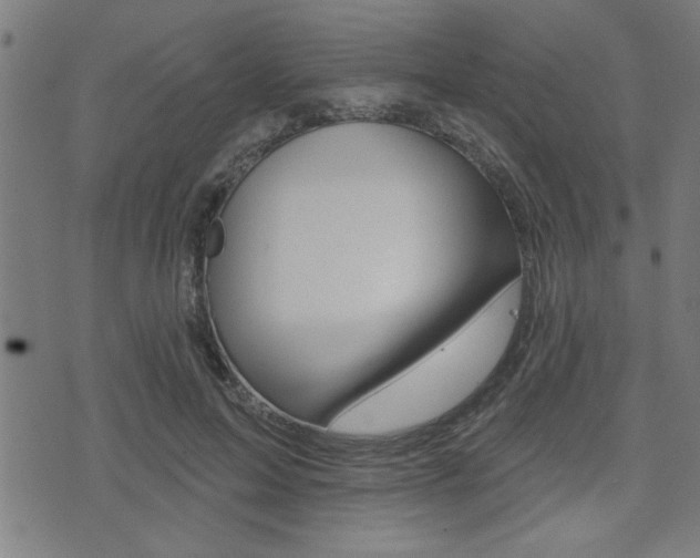 X0000073540599200607310953