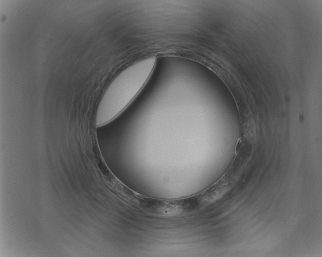 X0000073540604200607310953