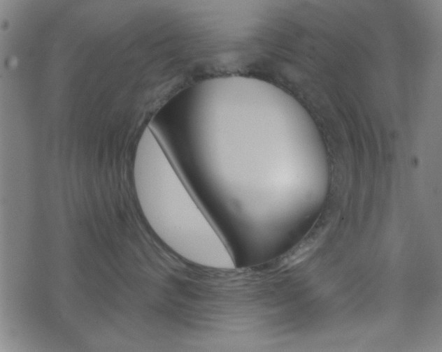 X0000073540624200607310952